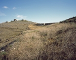 1262878856-aloni-05-1000x500