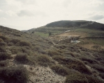 1262878862-aloni-13-1000x500