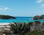 bahamas13