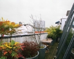 1234_8_terrace_592
