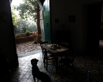 NYT2010092715443925C