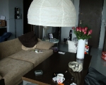 rdeco08