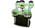 cool-aquariums-m