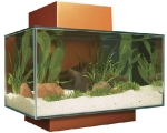 fluval-aquarium