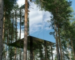 mirrored-treehuouse