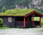 norweigengreenroofs5