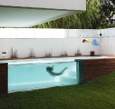 andresremyarchitectsdevotooutdoorpool1
