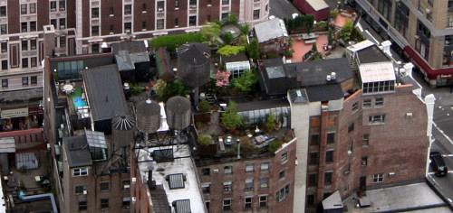 nyrooftop nyrooftop