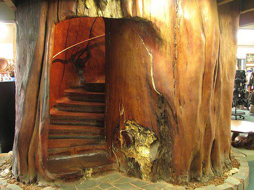 internal-log-stairway-2